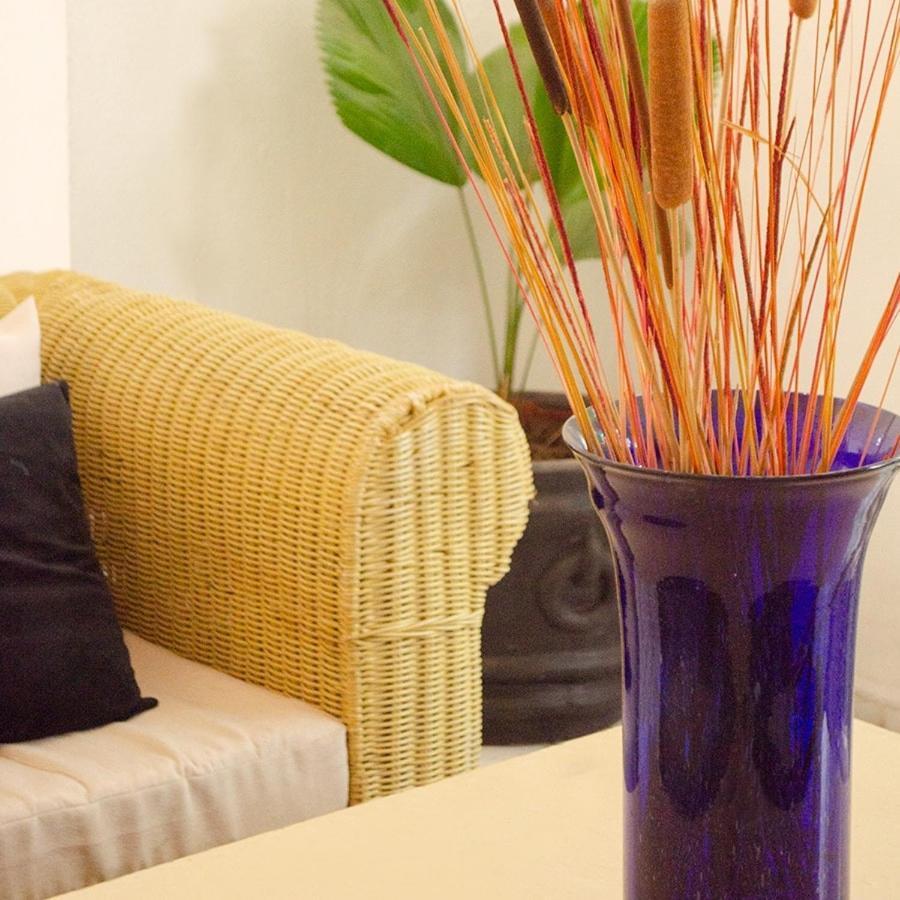 Vf Hotel Cuernavaca Zewnętrze zdjęcie